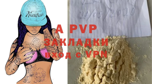 бошки Ладушкин