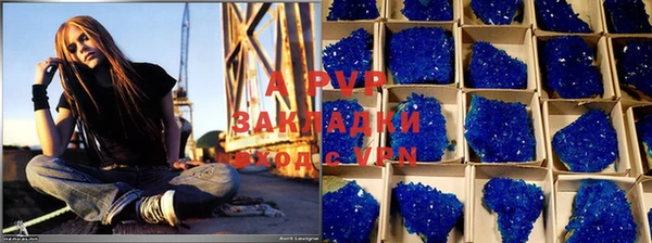 бошки Ладушкин